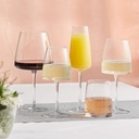 Piatta 12 oz. Stemless Wine Glass