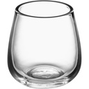 Pangea 13 oz. Stemless Wine Glass