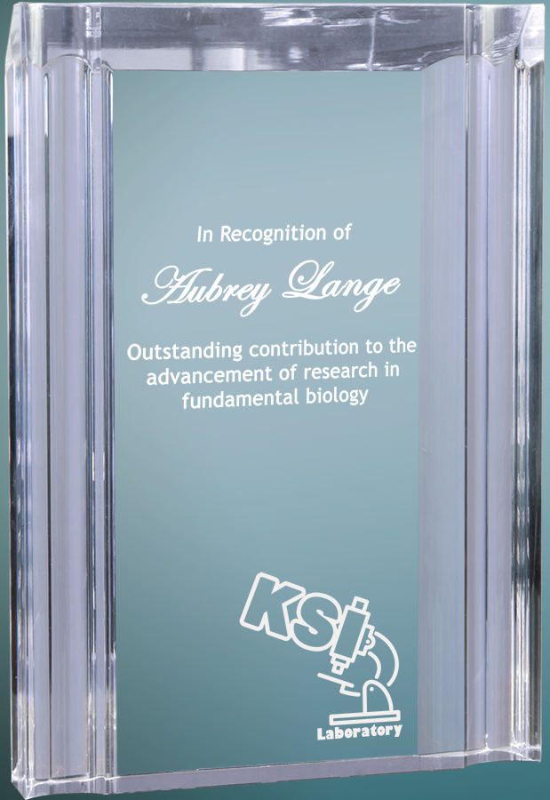 5" x 7" Clear Channel Acrylic