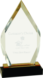 9" Gold Fusion Diamond Impress Acrylic with Black Glass Base