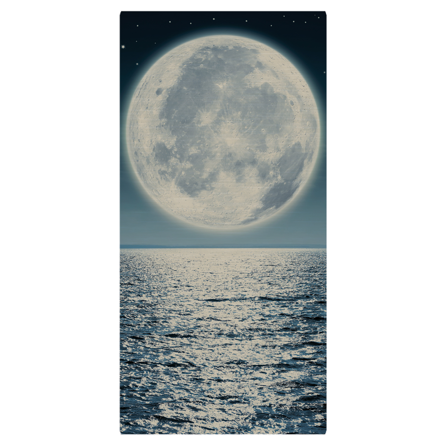 5" x 10" Gloss Silver ChromaLuxe Aluminum Photo Panel