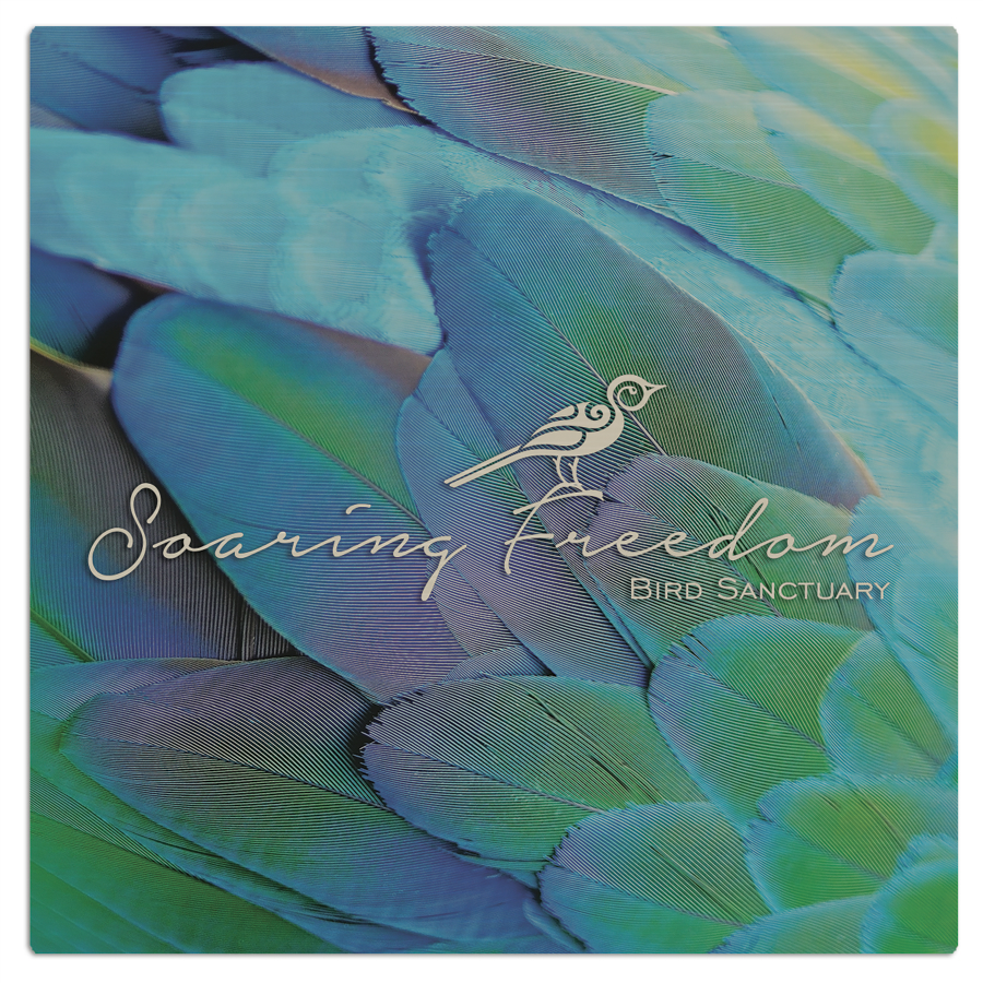 4" x 4" Matte Silver ChromaLuxe Aluminum Photo Panel