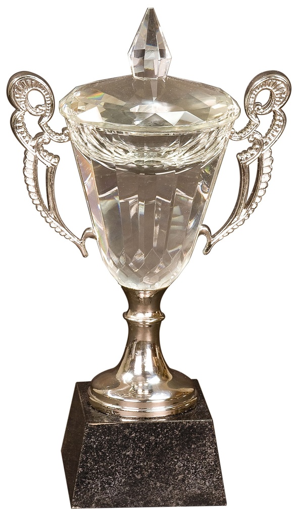 11 1/4" Crystal Cup with Silver Handles and Stem
