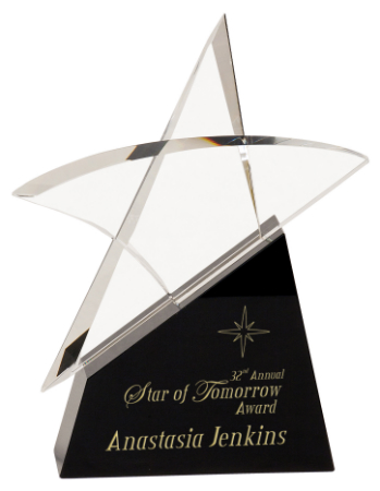 9 1/2" Clear Crystal Outline Star on Black Base