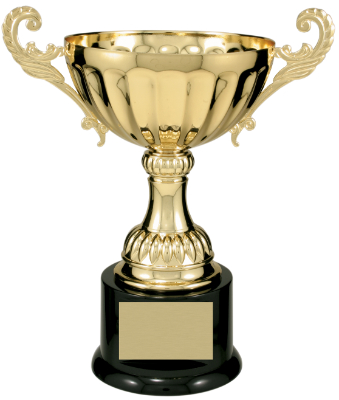9 3/4" Gold Completed Metal Cup Trophy on Plastic Base