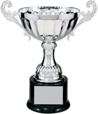 9 3/4" Silver Completed Metal Cup Trophy on Plastic Base