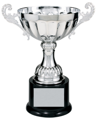 8 1/2" Silver Completed Metal Cup Trophy on Plastic Base