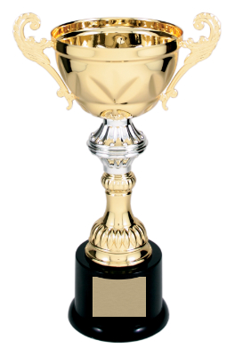 10" Gold Completed Metal Cup Trophy on Plastic Base