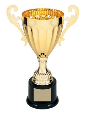 9 3/4" Gold Completed Metal Cup Trophy on Plastic Base