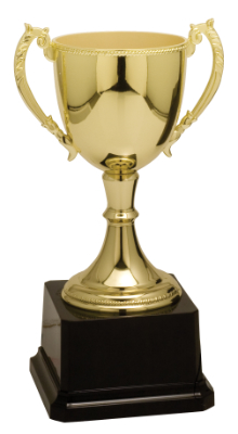 8 3/4" Gold Completed Zinc Cup Trophy