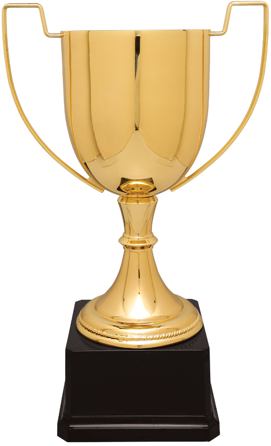 13" Gold Completed Zinc Cup Trophy on Plastic Base