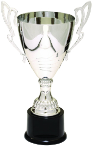 12" Silver Completed Metal Cup Trophy on Plastic Base