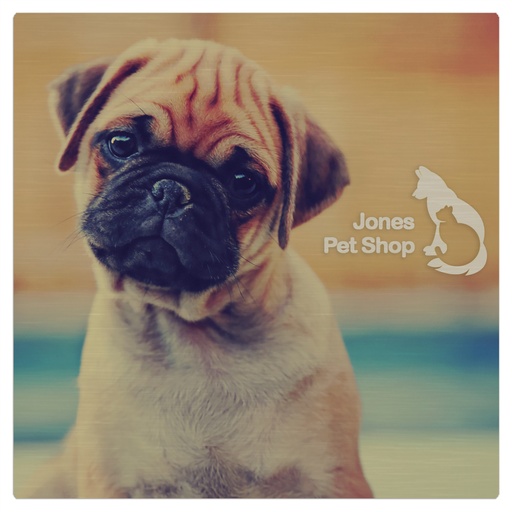 [CLX4182] 8" x 8" Gloss Silver ChromaLuxe Aluminum Photo Panel