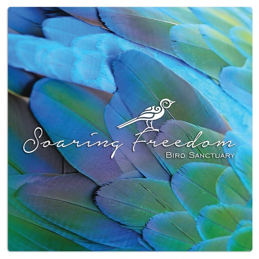 [CLX4304] 4" x 4" Matte White ChromaLuxe Aluminum Photo Panel