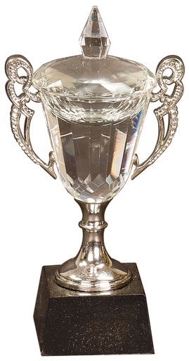 [CRY052S] 8" Crystal Cup with Silver Handles and Stem