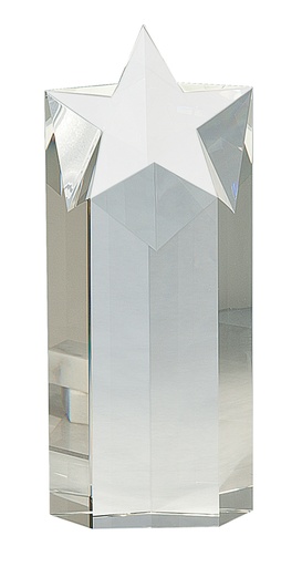 [CRY259] 10" Clear Crystal Star Column