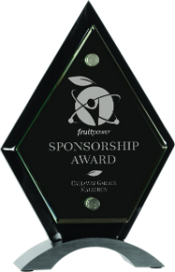 [FSG285] 8 1/2" Diamond Black Piano Finish Floating Jade Glass Standup