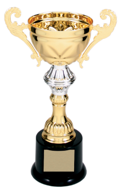 [CMC201G] 8 3/4" Gold Completed Metal Cup Trophy on Plastic Base
