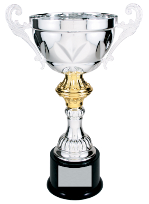 [CMC205S] 14 1/2" Silver Completed Metal Cup Trophy on Plastic Base