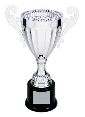 [CMC302S] 9 3/4" Silver Completed Metal Cup Trophy on Plastic Base