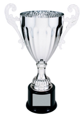 [CMC303S] 12" Silver Completed Metal Cup Trophy on Plastic Base