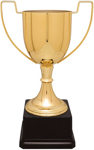 [CZC702G] 11 3/4" Gold Completed Zinc Cup Trophy on Plastic Base