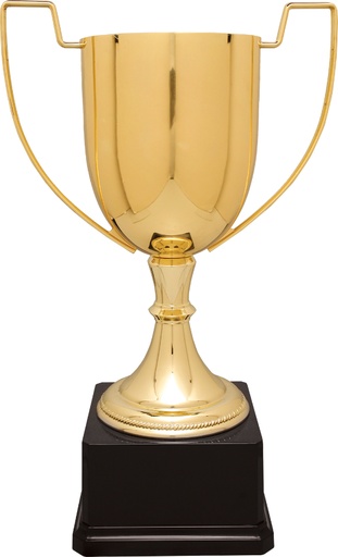 [CZC704G] 14 1/4" Gold Completed Zinc Cup Trophy on Plastic Base