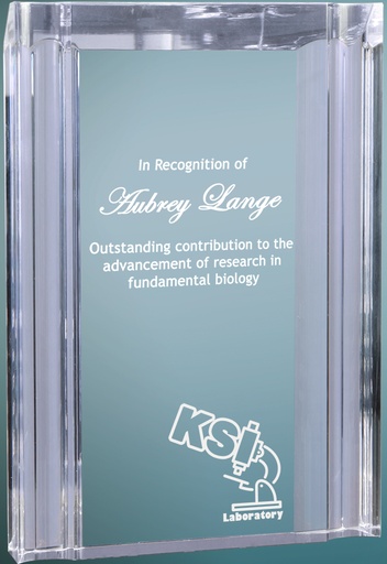 [CHL22] 4 3/4" x 6 1/8" Clear Channel Acrylic