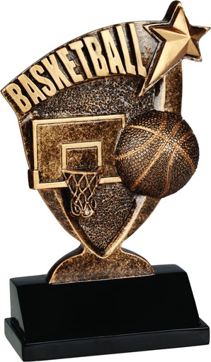 [BCR102] 6" Basketball Broadcast Resin